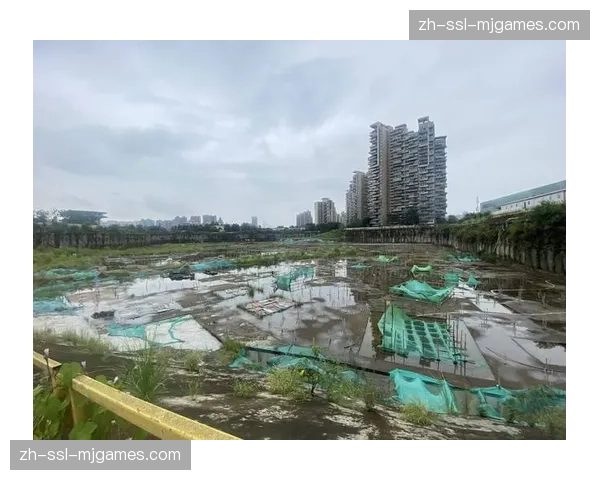 雨战伊蒂哈德：工作人员紧急处理场地积水